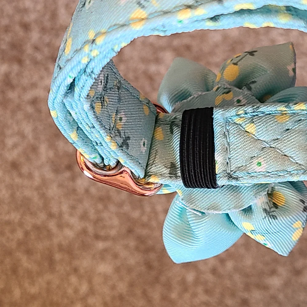 N/A cute teal